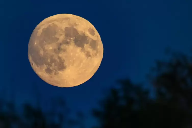 Der zu 99 Prozent sichtbare und zunehmende Mond leuchtet am Abendhimmel über dem östlichen Brandenburg. Am 17.10.2024 ist der Vo