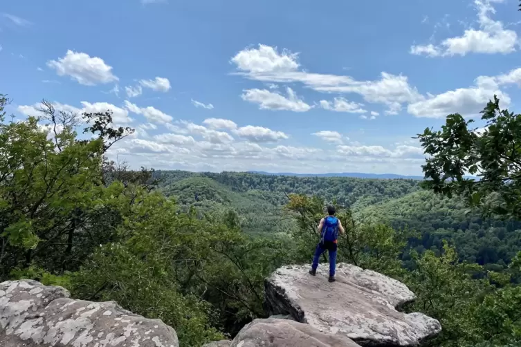 Das Drachenfels-Südplateau trumpft mit grandiosem Panorama auf. 