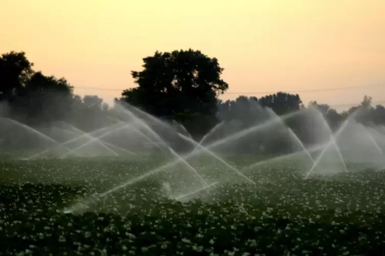 Felder müssen hin und wieder beregnet werden. Dafür kann man mittels Brunnen Grundwasser nehmen oder mittels langer Leitungen ei