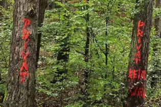 Ansage: Der Waldbesitzer macht unmissverständlich klar, was er von dem Wanderweg auf seinem Gelände hält. Er will an einem Tag