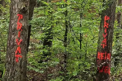  Ansage: Der Waldbesitzer macht unmissverständlich klar, was er von dem Wanderweg auf seinem Gelände hält. Er will an einem Tag 