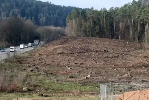 Für den Lkw-Parkplatz wurde im vergangenen Jahr viel Wald gerodet. 