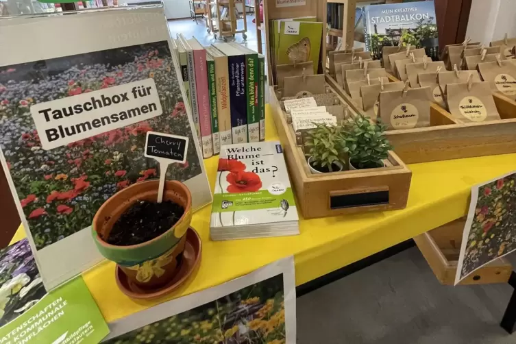 Der Tisch in der Stadtbibliothek mit Infos rund ums Gärtnern und Blumensamen zum Mitnehmen.