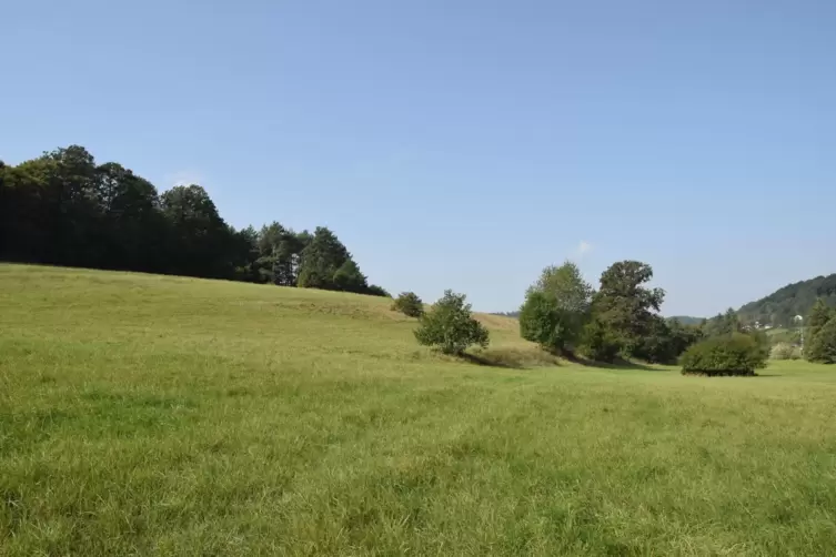 Diesen Hang bei Neuhemsbach rutschte der Teufel mit seinem Schlitten herunter. 