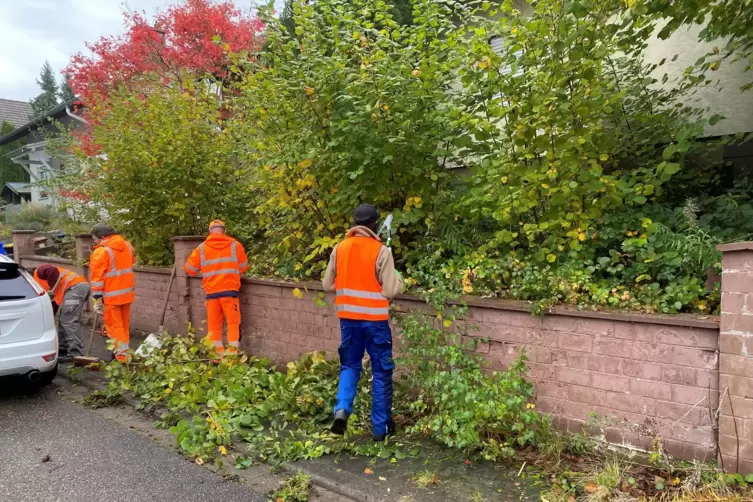 Zwei ukrainische Geflüchtete helfen den Mitarbeitern des WSP ein Grundstück auf dem Sommerwald auf Vordermann zu bringen. 