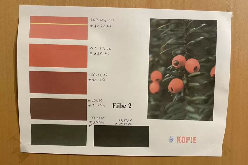 Das Farbschema »Eibe« für eines der Zimmer.