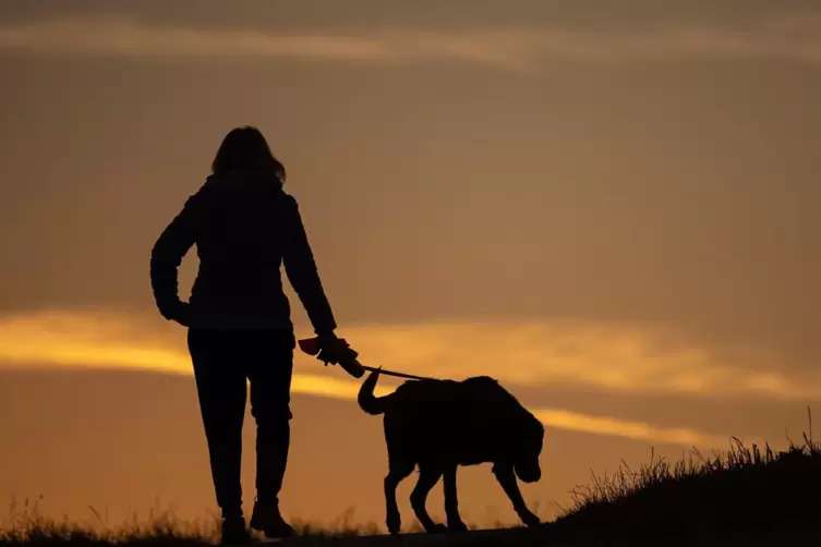 Spaziergang mit Hund: Auch auf die richtige Leine und das Halsband kommt es dabei an. 