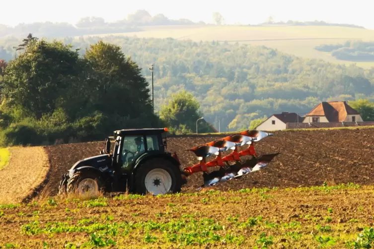 Landwirt Andreas Veith pflügt das Stoppelfeld um.