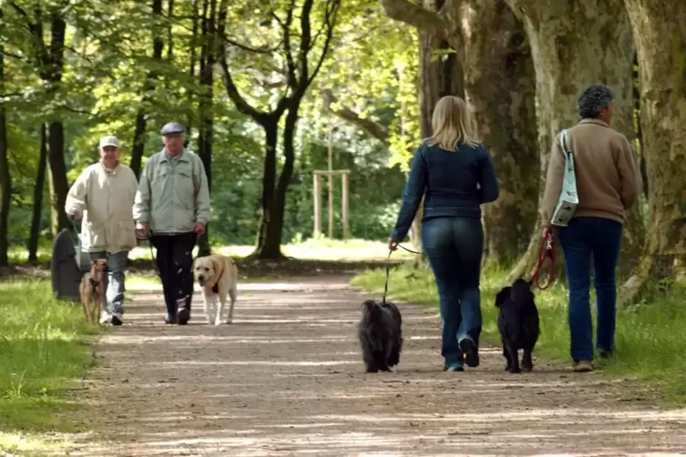 Der Ostpark soll als Ort der Naherholung mit Angeboten für Jung und Alt aufgewertet werden. 