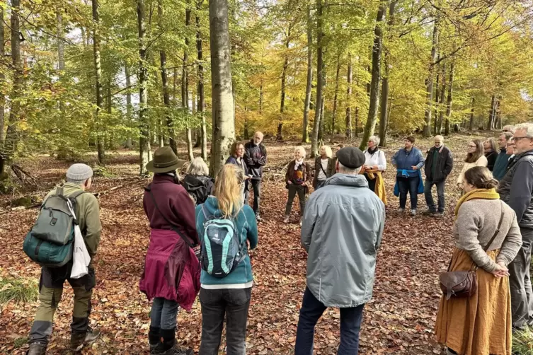 Rund 20 Teilnehmer erfuhren bei der Wanderung, was der Wald an Wirkstoffen zu bieten hat. 