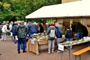 Hunderte Besucher kamen am Wochenende ins Pfalzmuseum, viele mit Fragen an die Experten.