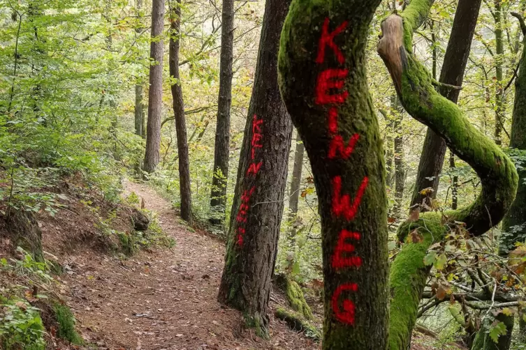 „Kein Weg“ hat Roland Zwick auf Bäume in seinem Waldabschnitt geschrieben, in dem ohne seine Genehmigung der Premiumwanderweg Ho