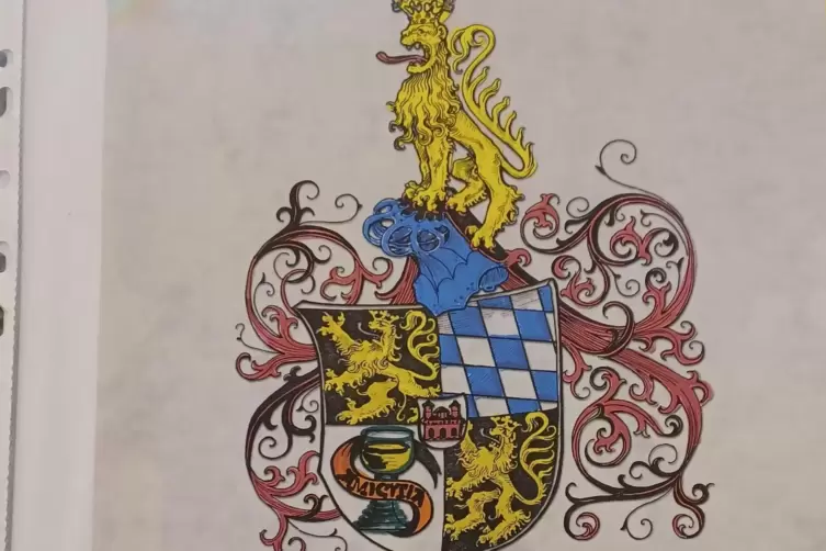 Das Wappen der Pfalzgrafen in der Burg zur schwarzen Amsel. 