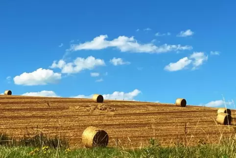 Viel Gegend und sonst herzlich wenig: Die Alte Welt, hier ein Motiv bei Waldgrehweiler, soll gestärkt werden. 