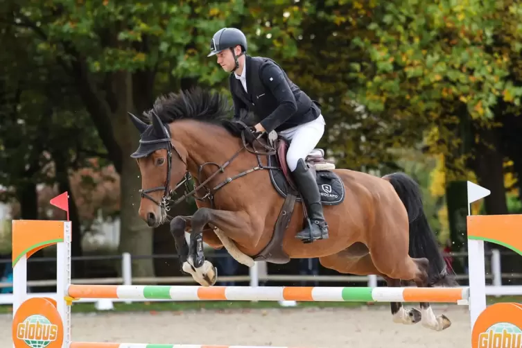 Niklas Betz gewann mit New in Cake am Sonntag das abschließende M*-Springen beim Turnier des Springreiterclubs im Landgestüt. De