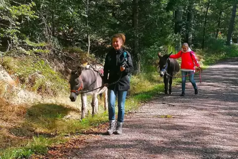 Lachende Gesichter: Unterwegs mit Melanie Hass und ihren freundlichen Grautieren.