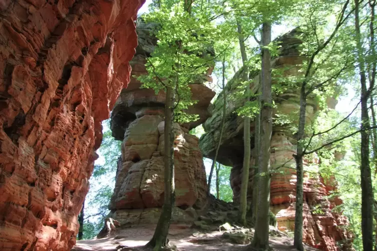 Natur- und Kulturdenkmal: die Sandsteinformation Altschlossfelsen. 