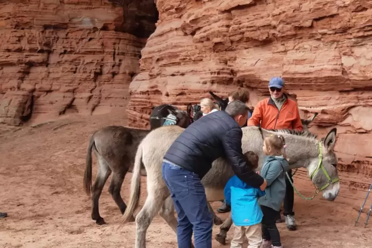 Tierischer Kontakt: Das macht auch Kindern Freude.