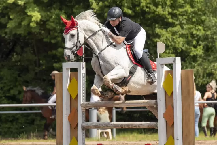 Springreiten in Bruchmühlbach-Miesau. 