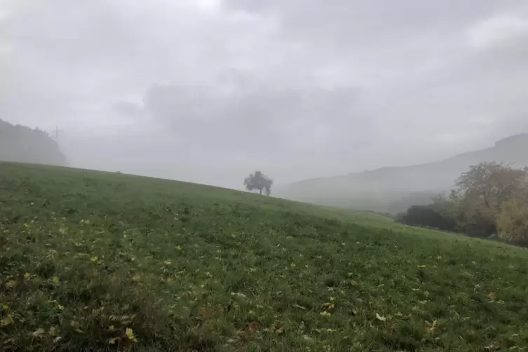 In den kommenden Tagen wird es zwar für die Jahreszeit sehr mild, die Sonne kann sich aber nur schwer gegen Nebel und Wolken dur