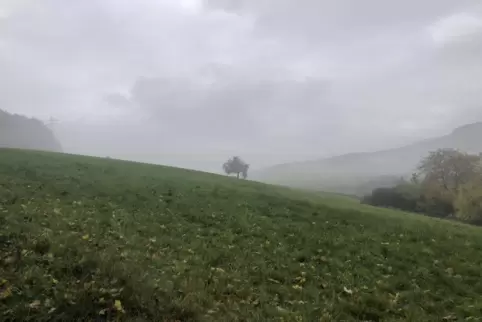 In den kommenden Tagen wird es zwar für die Jahreszeit sehr mild, die Sonne kann sich aber nur schwer gegen Nebel und Wolken dur