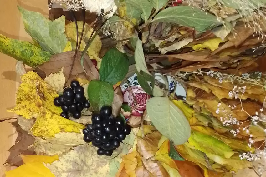 Blätter und Beeren: Damit dekoriert Edith Mesletzky gerne in der Herbstzeit.