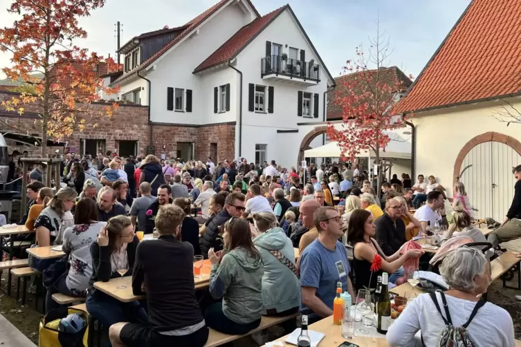 Das Fest lockt immer zahlreiche Besucher an. 