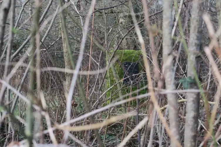 Der alte Gedenkstein soll vom Gestrüpp befreit und versetzt werden, damit er wahrgenommen wird.