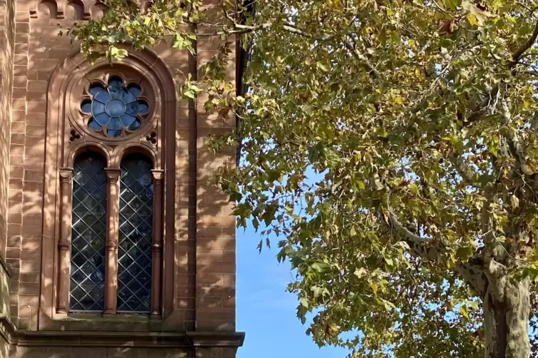 Die Knochen wurden inzwischen laut Pfarrer Andreas Rubel im Kirchgarten (rechts) der St.-Georg-Kirche beigesetzt.