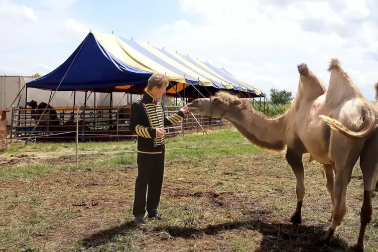 Circus Probst im Sommer 2024 in Gleisweiler. 