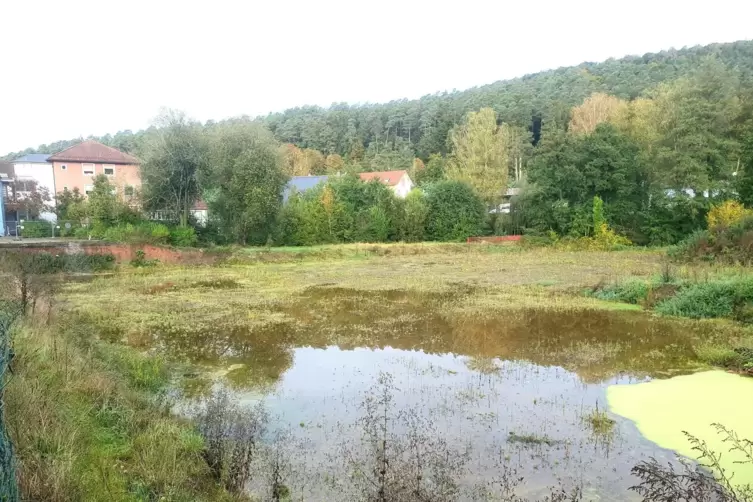 Das Gelände hinter dem Alten Rathaus wird von einigen Naturfreibad genannt. Eigentlich sollte dort ein Seniorenheim errichtet we