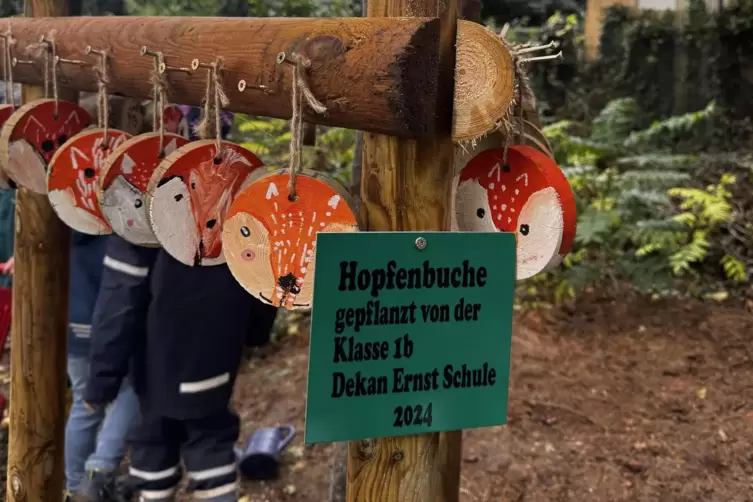 Mit Schild markiert: Hopfenbuche der 1b aus der Dekan-Ernst-Schule. 