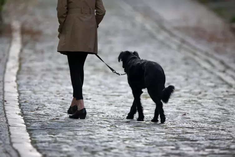 Ab Januar sind womöglich sehr viel mehr Hundehalter in Grünstadt unterwegs. 