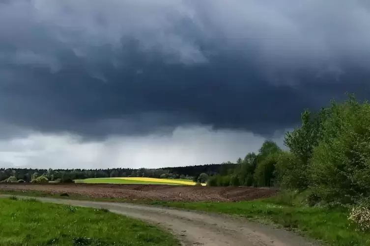 Bei jedem Wetter schön: Jutta Lang geht täglich auf ihrem Lieblingsweg am Rande Hochspeyers spazieren. 