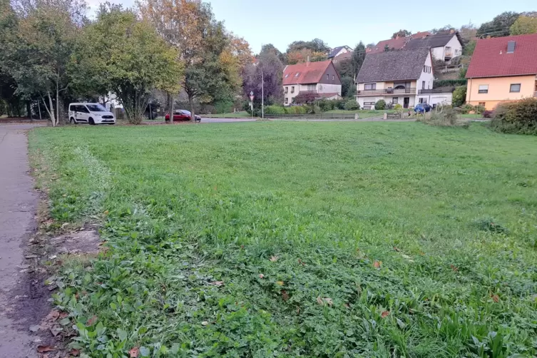 Auf dieser Wiese vor dem Spielplatz in der Ortsmitte soll das neue Feuerwehrgerätehaus gebaut werden. 