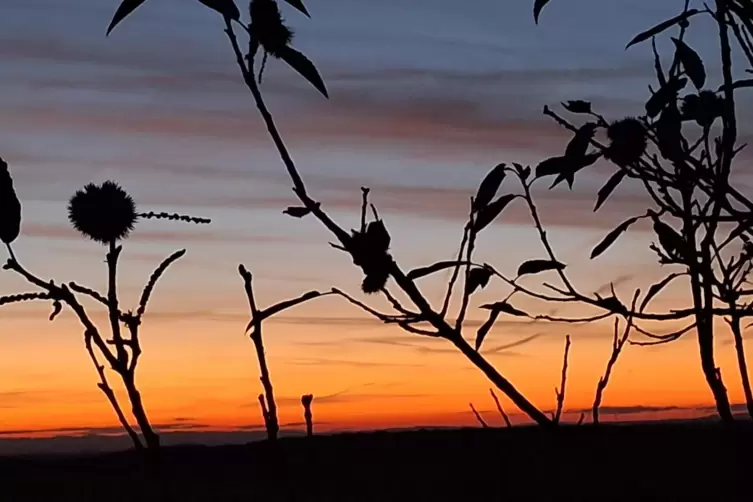 Unser aktuelles Wetterbild zeigt einen Sonnenuntergang in Schönborn und kommt von unserem Leser Gunter Neu. „Auch in der kommend