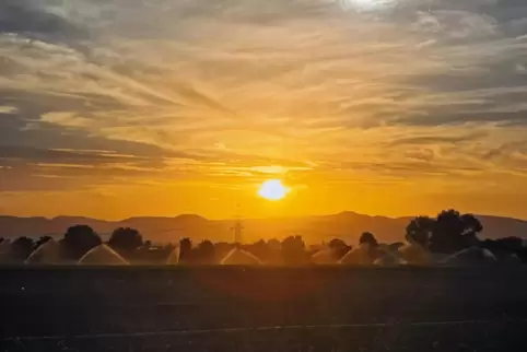 Erster Preisträger aus Schwegenheim: Abendstimmung mit Blick auf die Felder und die Haardt. 