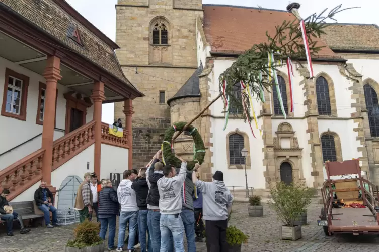 Die Cadolzburger Kärwa-Jugend stellt auf dem Freinsheimer Marktplatz einen Kärwa-Baum auf. 