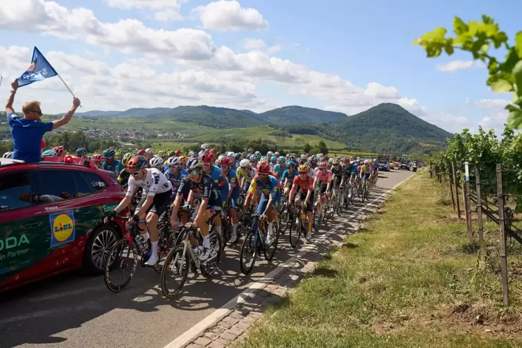 2024 führte die Schlussetappe der Deutschland-Tour das Fahrerfeld durch die Pfalz.