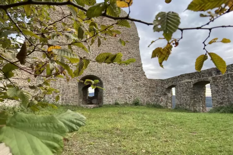 Isoliert liegt die Michelsburg auf dem Remigiusberg. Der eindrucksvollste Teil ist die Schildmauer an der Ostseite. Sie ist 20 M