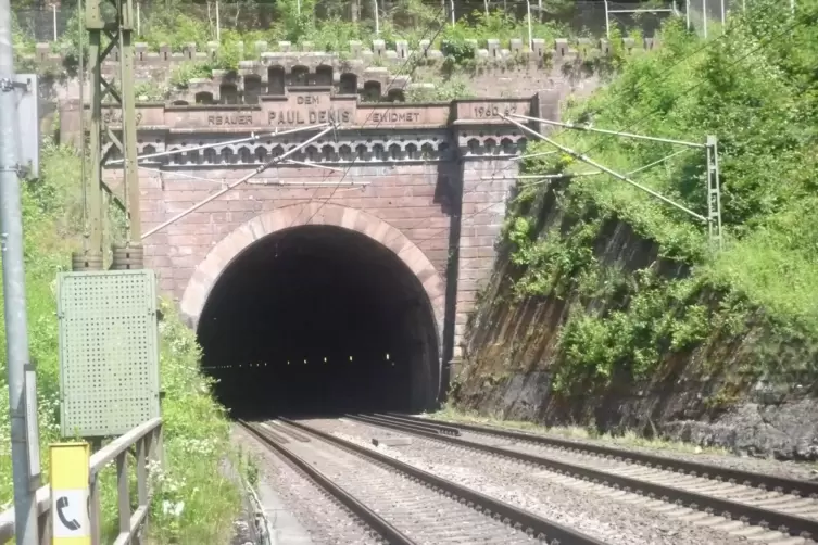 Zunächst war kein Unternehmer bereit, das Risiko eines Tunnelbaus im Pfälzerwald zu tragen.