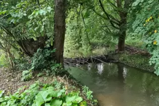 Der »problematische« Damm im wieder geraden Verlauf des Eisbachs vor der Überflutung des Wasserspielplatzes.