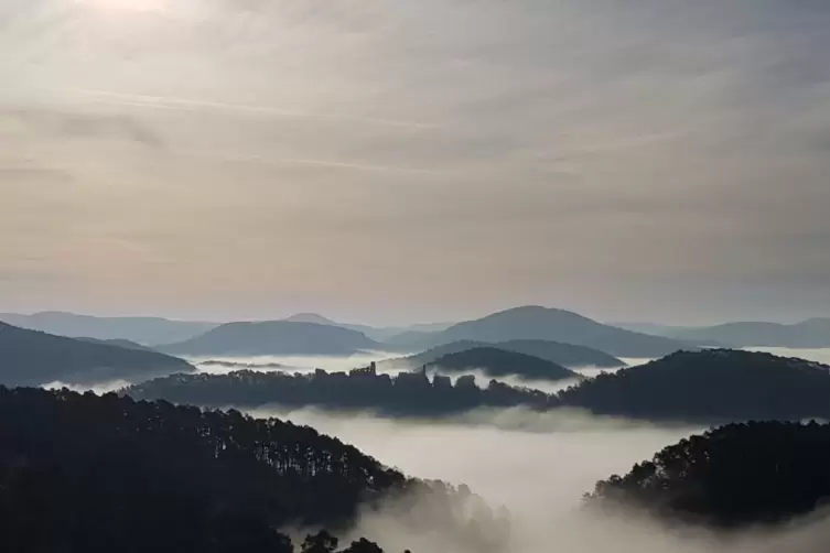 Unter seinen Nebelschwaden verbirgt der Pfälzer Wald zahlreiche Sagen und Legenden. 