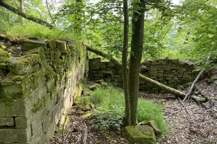 Bis heute suchen Wanderer in der Hohenfels-Ruine nach einem Schatz.