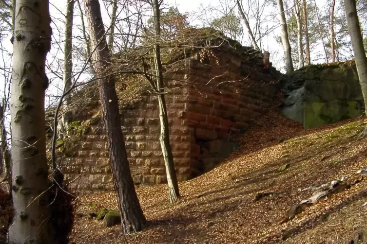 Der Burgherr der Neidenfels ist wahrlich über Leichen gegangen. Mit der Armbrust soll er seinen eigenen Bruder getötet haben. 