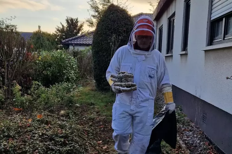 Hornissen-Beauftragter Werner Mang vom Nabu Pirmasens entfernt gemeldete Neser der Asiatischen Hornisse. Hier ist er in voller M