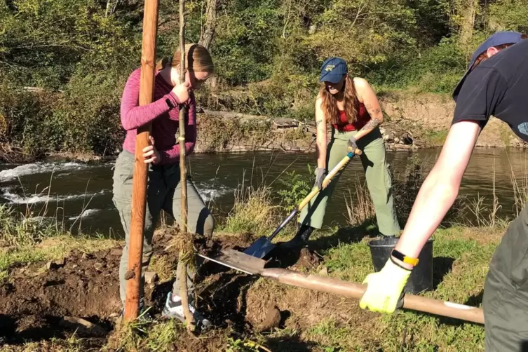 Ida Meier, Talia Masino und Tim Meier (von links) vom Obst- und Gartenbauverein Jockgrim helfen bei der Pflanzaktion im Ahrtal m