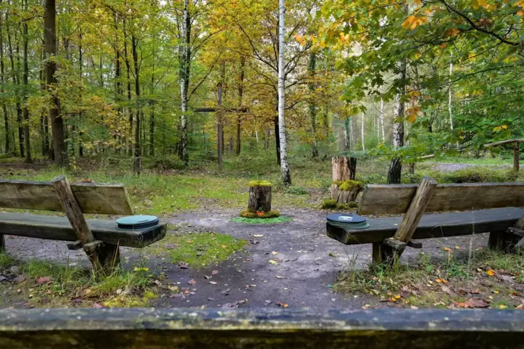 Mitten in der Natur: Andachtsplatz im Dudenhofener Friedwald.