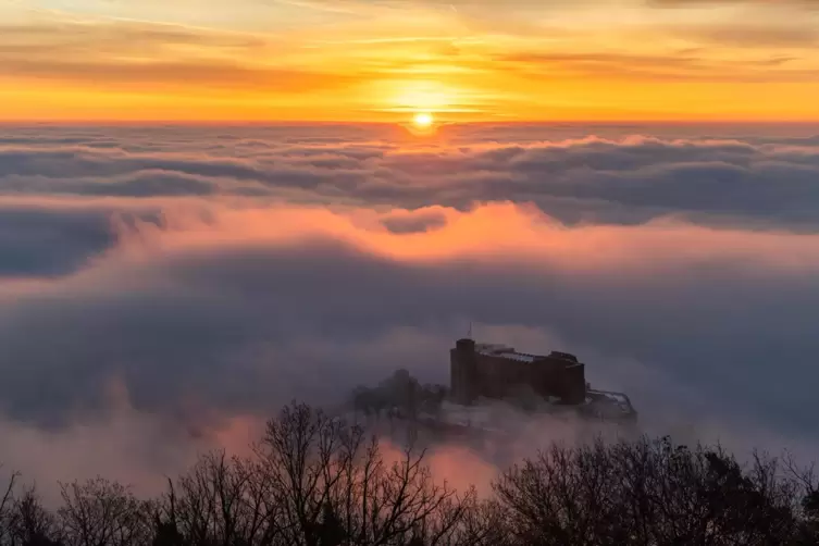 Nebel ist Johannes Maurers bevorzugtes Wetterphänomen. 