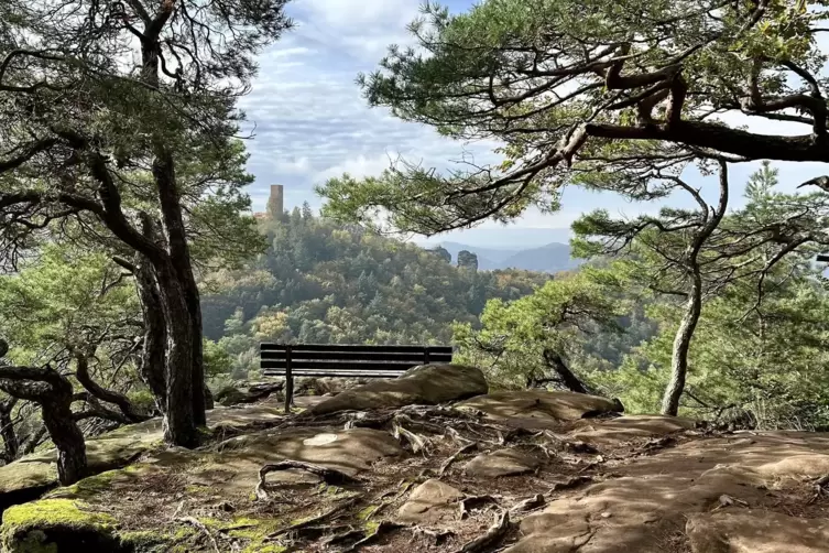 Wie gemalt: Ausblick vom Slevogtfelsen auf Burgruine Scharfenberg alias „Münz“.